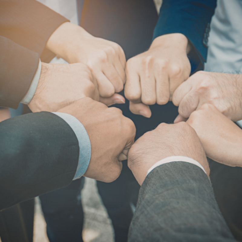 Xây dựng đội ngũ và văn hóa doanh nghiệp cho startup giáo dục
