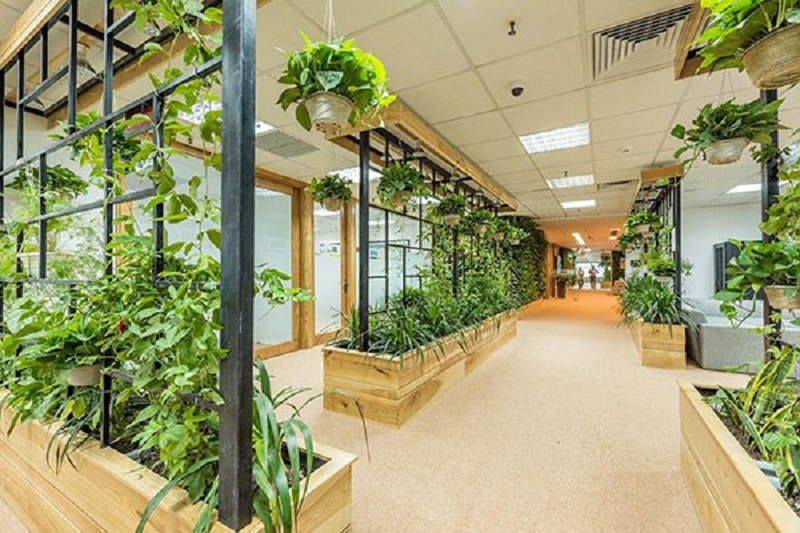 Khởi nghiệp xanh trong không gian sống hiện đại: Hành trình xây dựng doanh nghiệp từ cây cảnh nội thất (Phần 2)