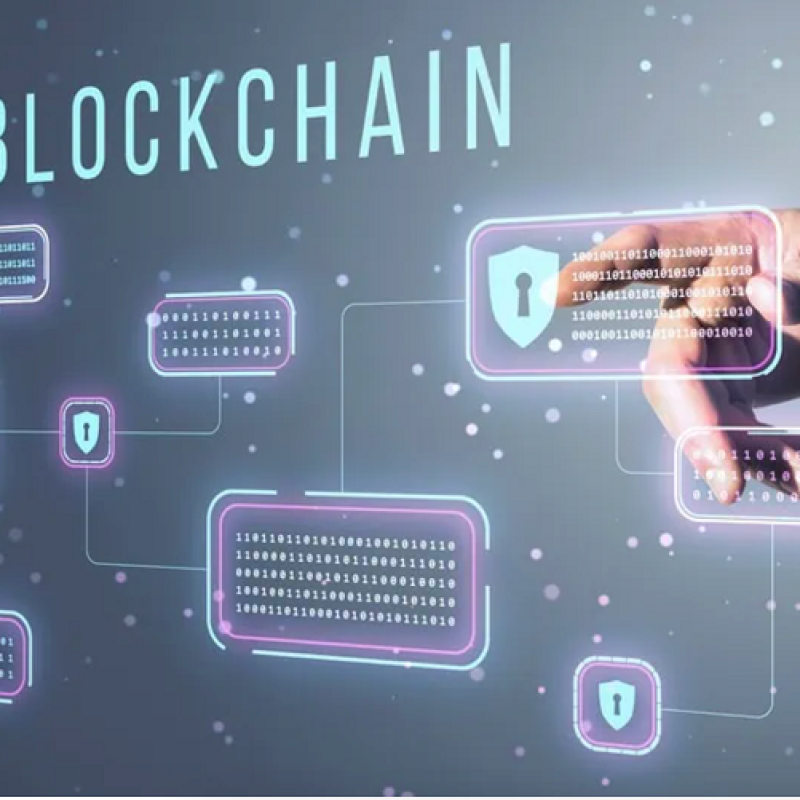 Chiến lược phát triển nguồn nhân lực Blockchain đa ngành