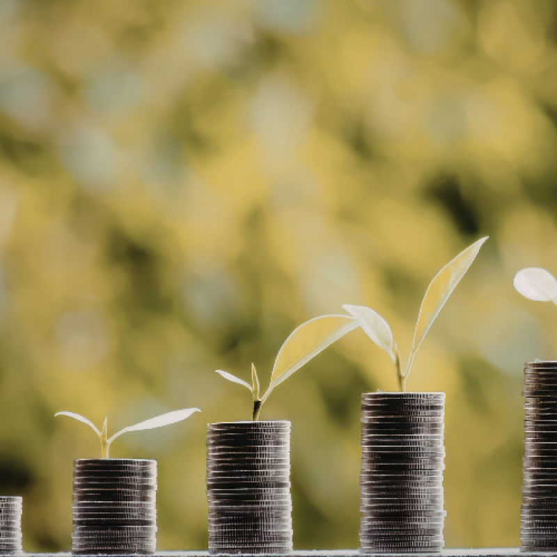 Fintech xanh (Green Fintech): Đòn bẩy cho mục tiêu Net Zero và phát triển bền vững tại Việt Nam
