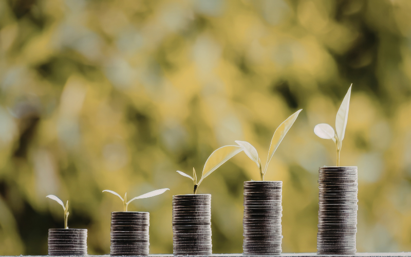 Fintech xanh (Green Fintech): Đòn bẩy cho mục tiêu Net Zero và phát triển bền vững tại Việt Nam