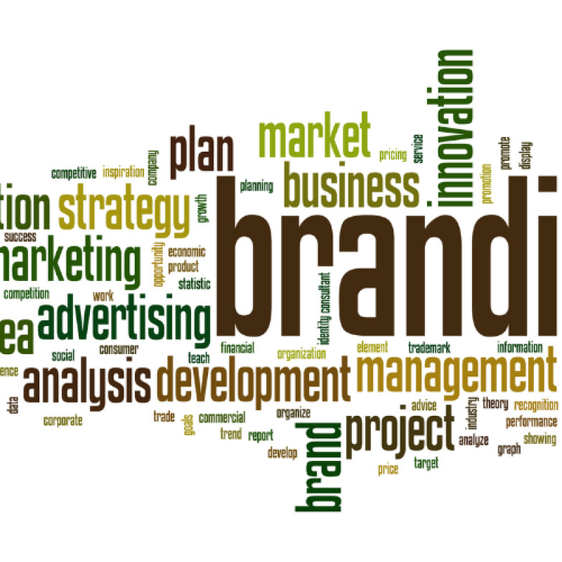 Chiến lược marketing và xây dựng thương hiệu cho startup giáo dục