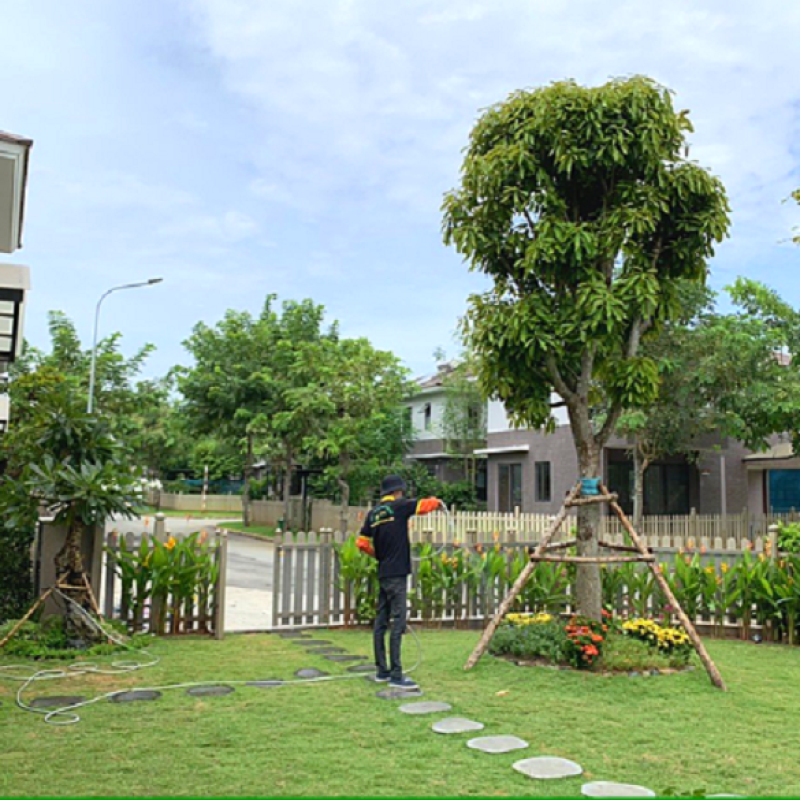 Khởi nghiệp dịch vụ chăm sóc vườn tại nhà – xu hướng kinh doanh xanh bền vững trong thời đại mới (Phần cuối)