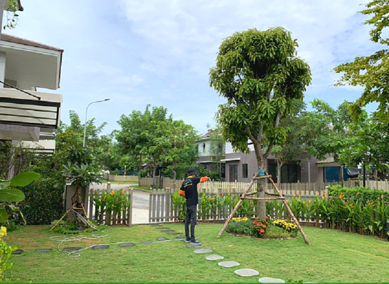 Khởi nghiệp dịch vụ chăm sóc vườn tại nhà – xu hướng kinh doanh xanh bền vững trong thời đại mới (Phần cuối)