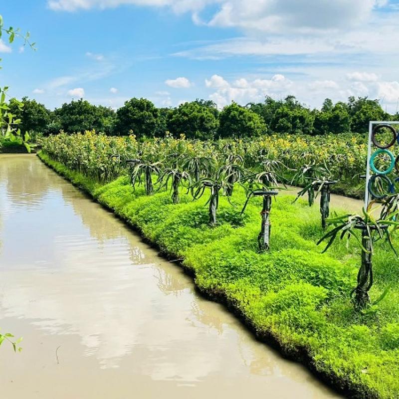 Cần Thơ nhiều điểm sáng phát triển hệ sinh thái khởi nghiệp đổi mới sáng tạo bền vững