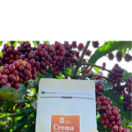 Cafe CREMA